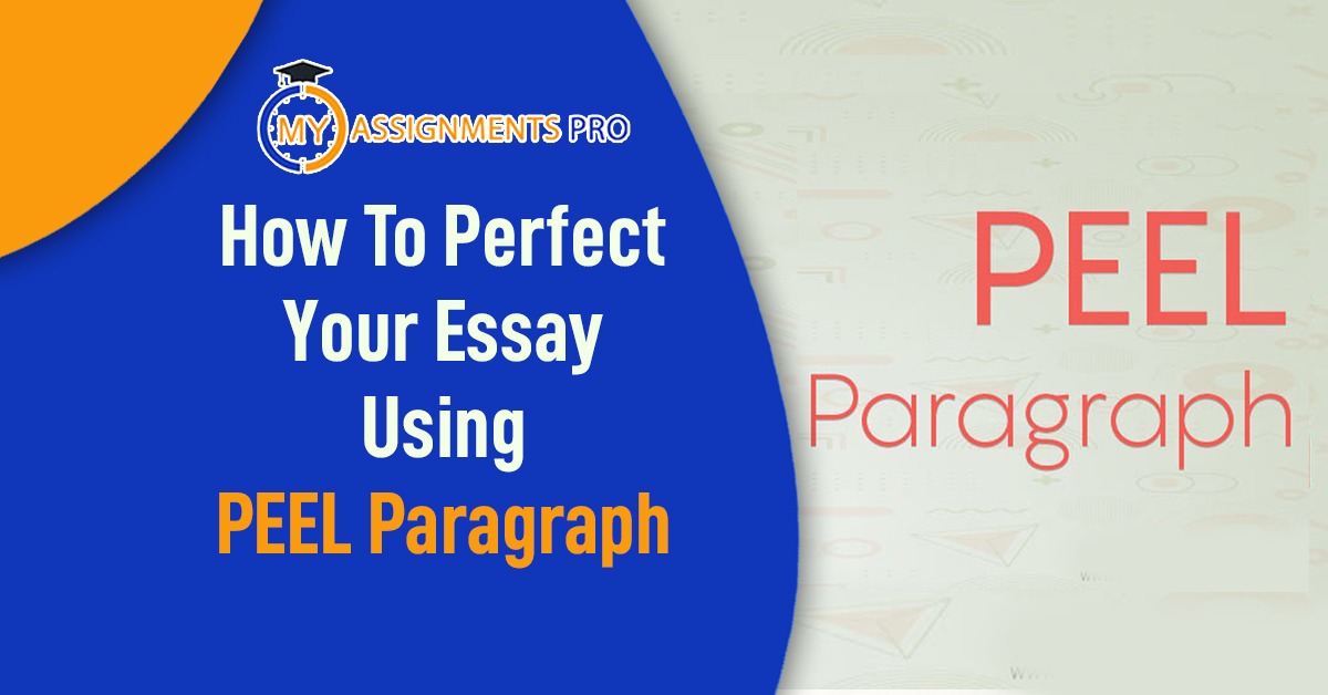 How To Perfect Your Essay Using PEEL Paragraph