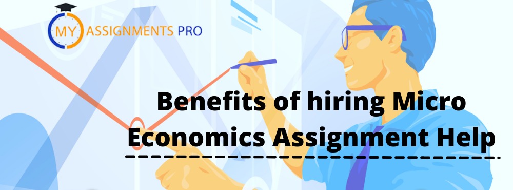 Benefits of hiring Micro Economics Assignment Help