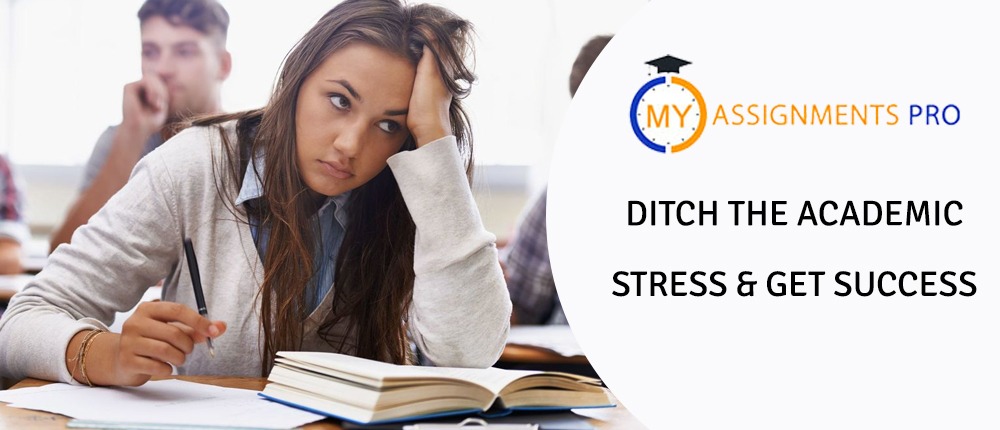 Ditch the Academic Stress & Get Success
