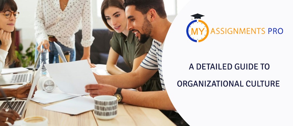 A Detailed Guide to Organizational Culture
