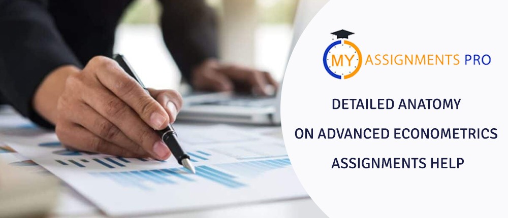 Detailed Anatomy on Advanced Econometrics Assignments Help
